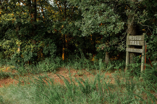 Area C trail head
